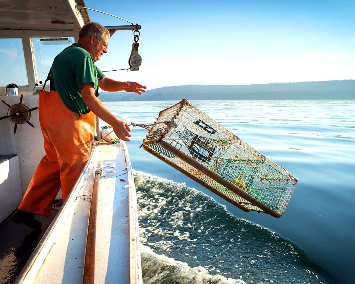Seafood Price Index & Forecasts | IOSCO Assured - Expana
